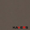 4120 Raven