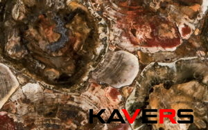 8330 Petrified Wood
