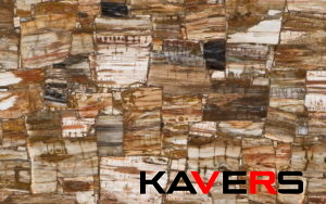 8331 Petrified Wood Classic