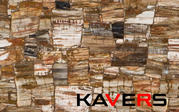 8331 Petrified Wood Classic